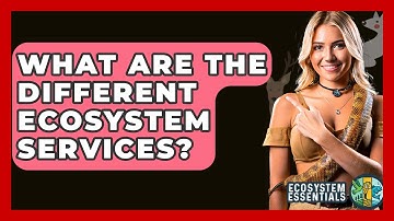 What Are The Different Ecosystem Services? - Ecosystem Essentials