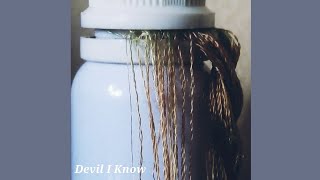 Allie X - Devil I Know (audio) Resimi