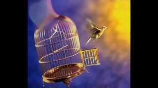 عبد الله الرويشد الي نساك abdallah rowaished elli nesak - YouTube.mp4
