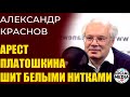 Александр Краснов про арест Николая Платошкина