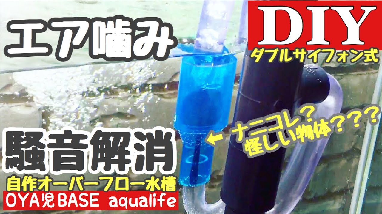 アクアdiy ダブルサイフォン式of自作水槽 悩みのエア噛みを謎なアレで騒音解消して超小型ダブルサイフォンを地下リウムで実用化決定 マメオーバーフロースタイル Mame Design Type Youtube