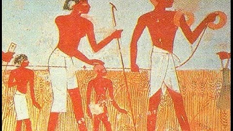 Origins of geometry in ancient Egypt