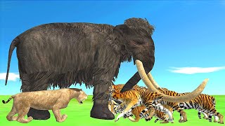 Strength Mammoth Big VS Group Lion and Tigers || Animal Battle Simulator
