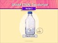 Gram stain preparation of  decolorizer