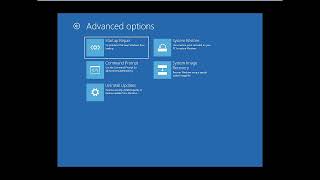 try tiny10 on vmware 12