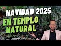 | Alejandro Fernando Numerólogo
