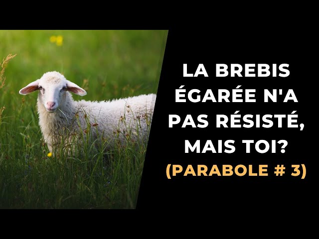 Visionner la vidéo sur YouTube
