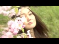 有坂ともよ「桜の花が散る前に」MV