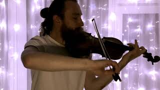 Duran Duran &quot;Perfect Day&quot; violin cover