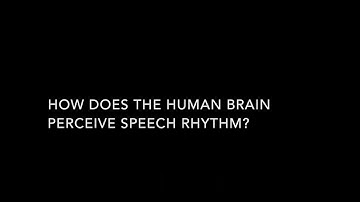 A speech envelope landmark for syllable encoding in human superior temporal gyrus