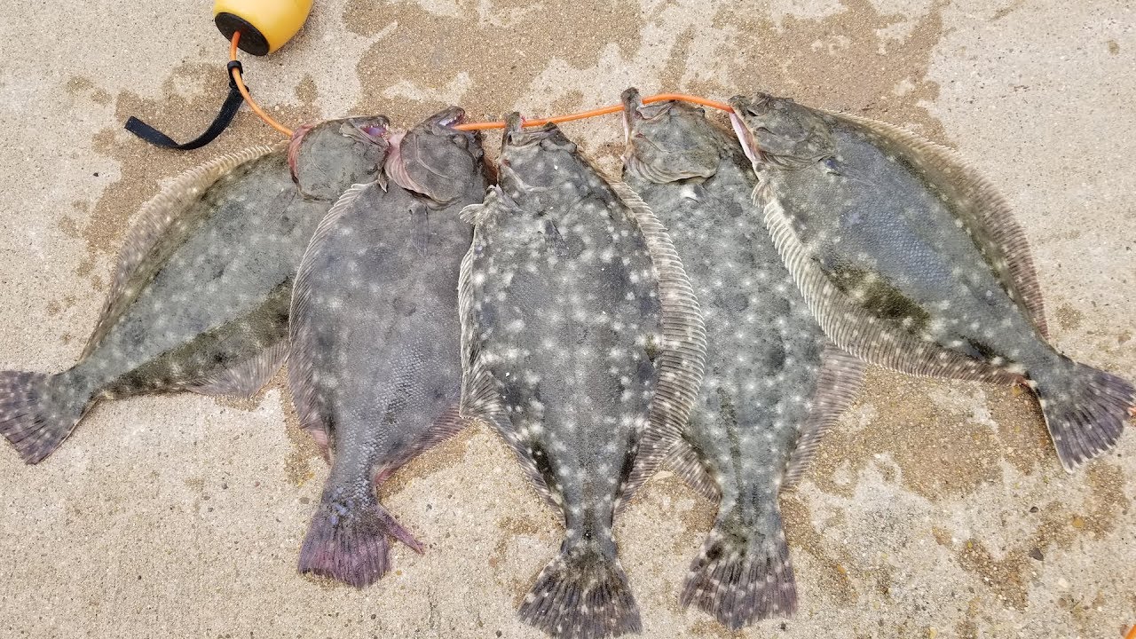 Flounder Fishing Galveston, Texas 111018 YouTube