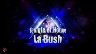 la bush temple of house : Anthology - Cy Rus - Champagne Beef (Mix)