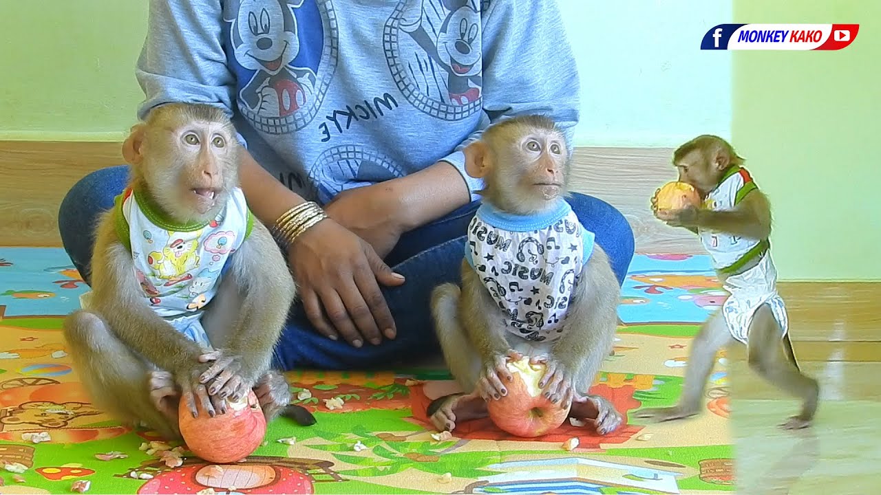 Adorable Baby KAKO & LUNA Walking To Open Refrigerator Take Apple Fruits