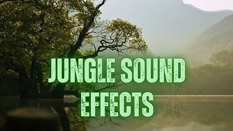 Jungle sound effects no copyright #junglesound #jungle#junglesounds#junglemusic #animalsounds #sleep