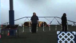 Shock! and Fever CSA USDAA March 2011.wmv