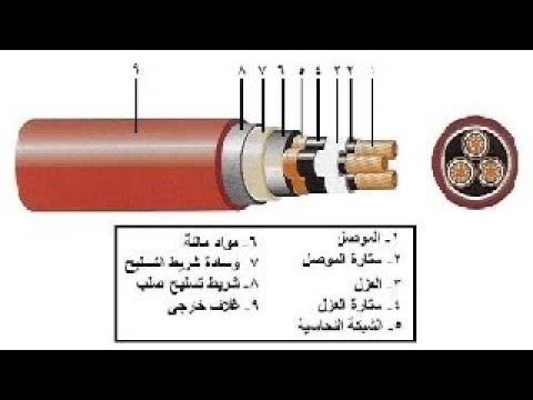 فيديو: ماذا تسمي نهاية الكابل؟