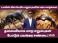 காட்டையே மிரட்டும் அந்த ராட்சத எறும்புகள்! The Mystery Of World's Largest Ants | Tamil