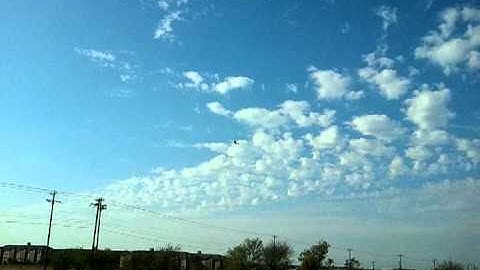 UTD T-Rex 700e First Flight