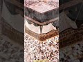 تشوقت روحي لشط الوادي تشوقت روحي لشط الوادي