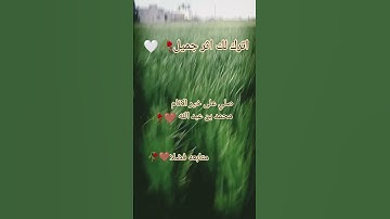 متابعه فضلا 🥀🤍 #تلاوة_خاشعة #اكسبلور #yasseraldossary #دويتو #لايك #ترند #لايك #المصحف
