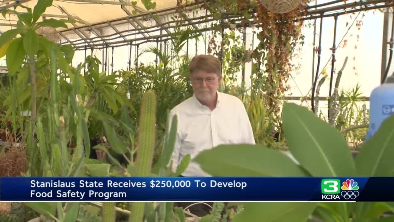 Stanislaus State awarded grant for program that addresses food, agriculture industry challenges