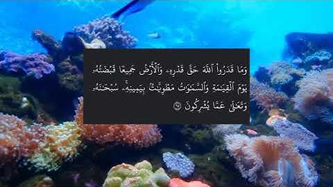 سورة الزمر الاية ( 67)،🌛⭐