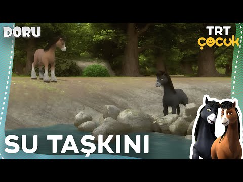 DORU I SU TAŞKINI