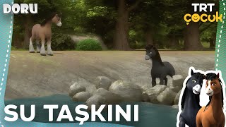 Doru I Su Taşkini