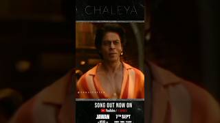 Download Lagu chaleya jawaan song sharukh khan status#jawaan #srk #arjitsingh #viral #new #trending#bollywood#song MP3
