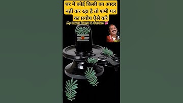 घर में कोई किसी का आदर नहीं कर रहा है तो #शमी पत्र का प्रयोग ऐसे करे#ghar#pradeepmishraji #shorts