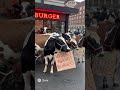 These cows boycott a burger joint #aiforeveryone #funny #sora #burgers #cows