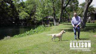 Greg Ellison The Class Of The People Ad