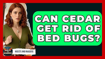 Can Cedar Get Rid Of Bed Bugs? - Insects and Invaders