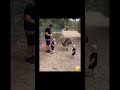 Funny moment #funny #trending #animals #viral #shorts
