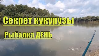 Рыбалка р.Протока-Кубань в августе!Что за РЫБА?
