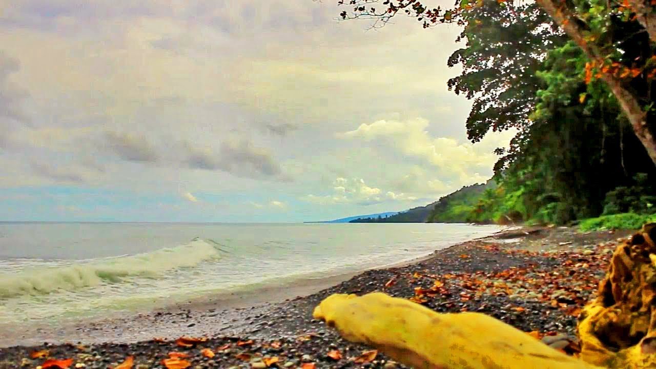 Masayori - Pasi Barekna | Lagu Daerah Papua