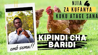 NJIA 4 ZA KUKU KUTAGA SANA KIPINDI CHA BARIDI/kilimo na mifugo israel NJIA 4 ZA KUKU KUTAGA SANA KIPINDI CHA BARIDI/kilimo na mifugo israel