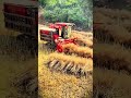 modern agricultural machinery that can harvest sesame plants quickly #shorts