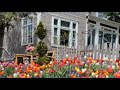 Minneapolis Tulip House garden is in bloom