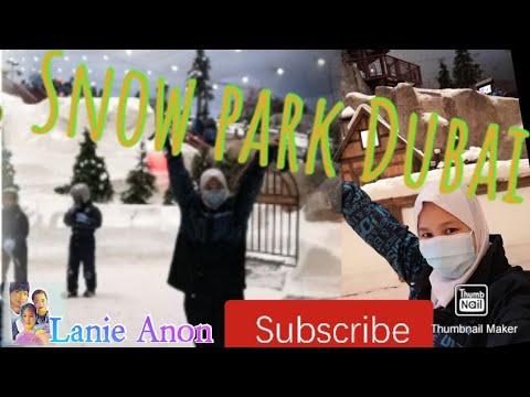 Snow park Dubai | ski Dubai | snow park penguin Dubai