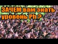 Как определить кислотность почвы ? Уровень Ph для растений