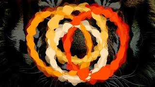 Raise The Energy of Male Genital Chakra and Fill Yourself with Passion - Tantric Meditation Music