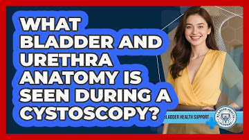 What Bladder And Urethra Anatomy Is Seen During A Cystoscopy? - Bladder Health Support
