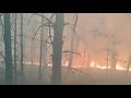 Лесные Пожары в Житомирской области.