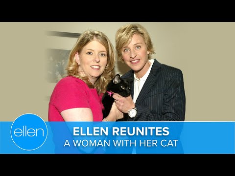 Ellen Reunites a Woman with Her Missing Cat