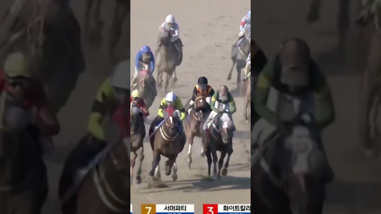 91배 미친배당11-2복연 배당말11번잡고출발