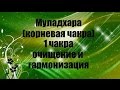 Муладхара (корневая чакра) 1 чакра очищение и гармонизация