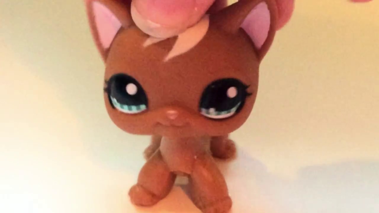 lps lighthair shortcat sitting down plain lps lighthair shortcat sitting down plain