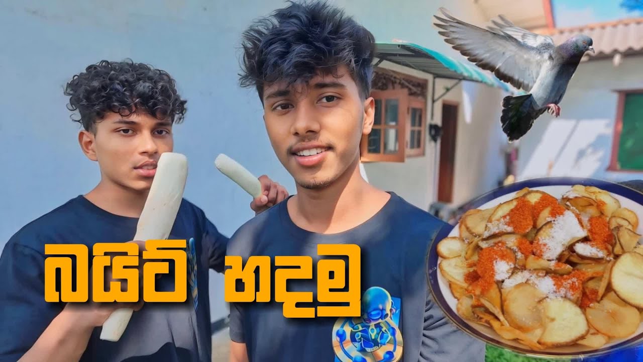 මඤ්ඤොක්කා බයිට් හදමු | Let's make cassava bites #vlog35