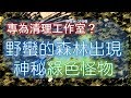 【天堂M】竟然有《專清理工作室的怪》韓版對抗工作室方法又一招